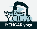 logo wye valley iyengar yoga main
